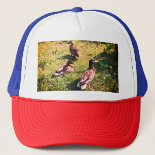 Tre anka keps