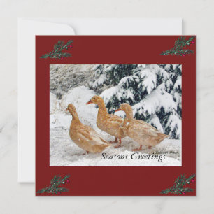 Tre anka parad i snö Flat Holiday Cards Julkort
