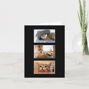 Tre Anpassningsbar Cat Photo - tackkort Kort