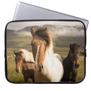 TRE ASSORTERADE HÄSTAR FÄRG SOM GÅR BORT FRÅN EN M LAPTOP FODRAL