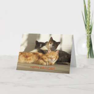 Tre avslappnande katter, födelsedag kort