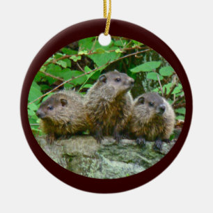 Tre baby Groundhogs Julgransprydnad Keramik