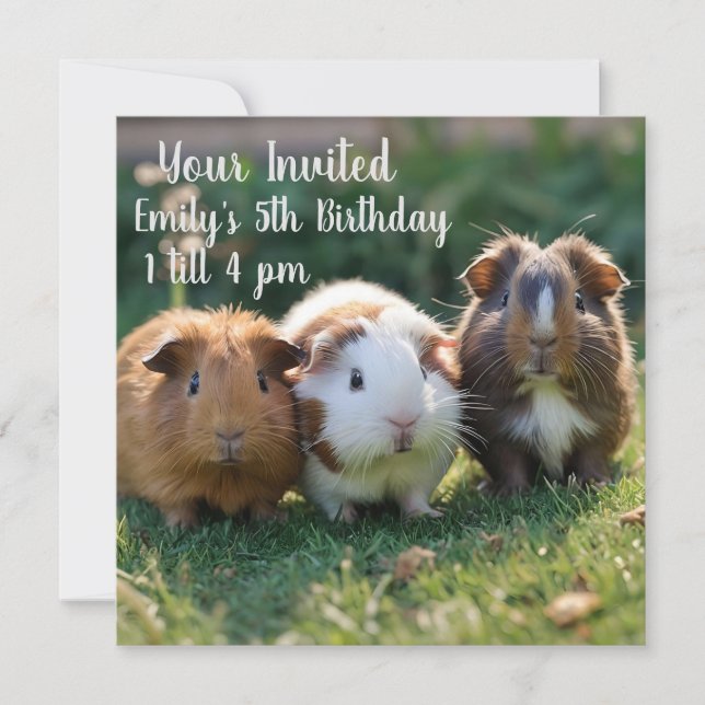 Tre Baby Guinea Grisar, Inbjudningar (Framsida)
