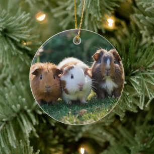 Tre Baby Guinea Grisar, Julgransprydnad Keramik