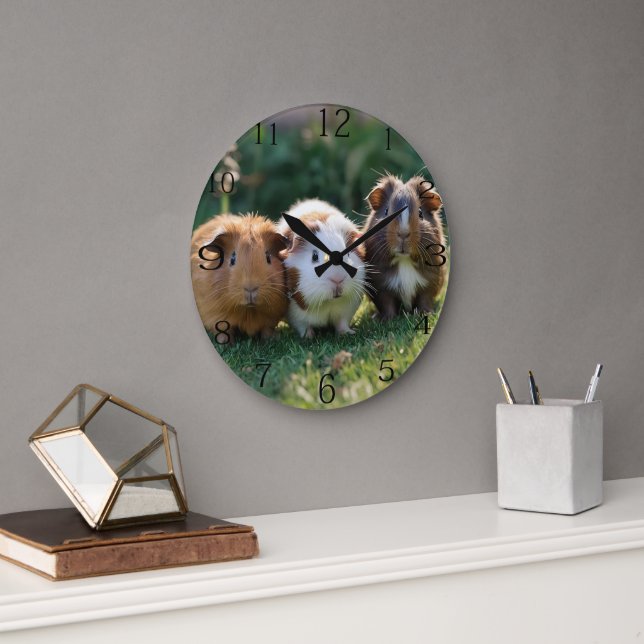 Tre Baby Guinea Grisar, Stor Klocka (Kontor)