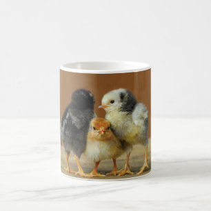 Tre babychickar kaffemugg