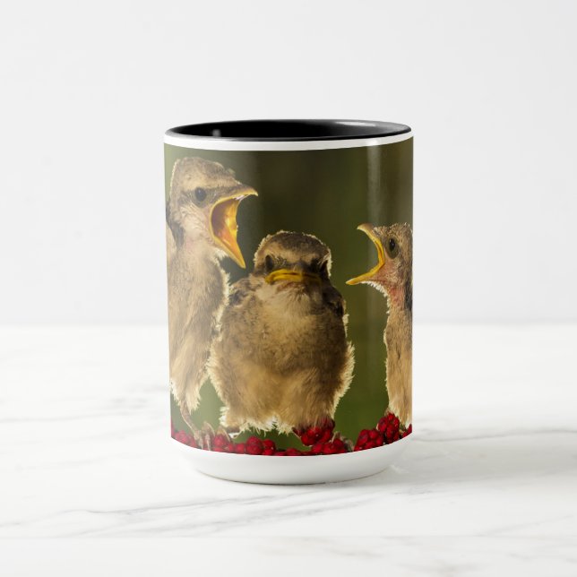 Tre babyLaniusSchach fåglar Mugg (Center)