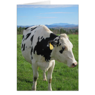 Tre bakbundna kor 5x7 hälsningskort