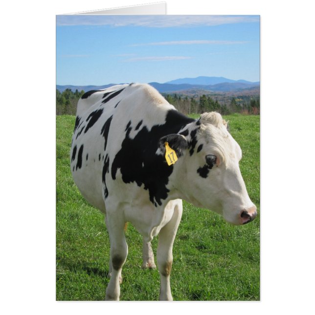 Tre bakbundna kor 5x7 hälsningskort (Framsidan)