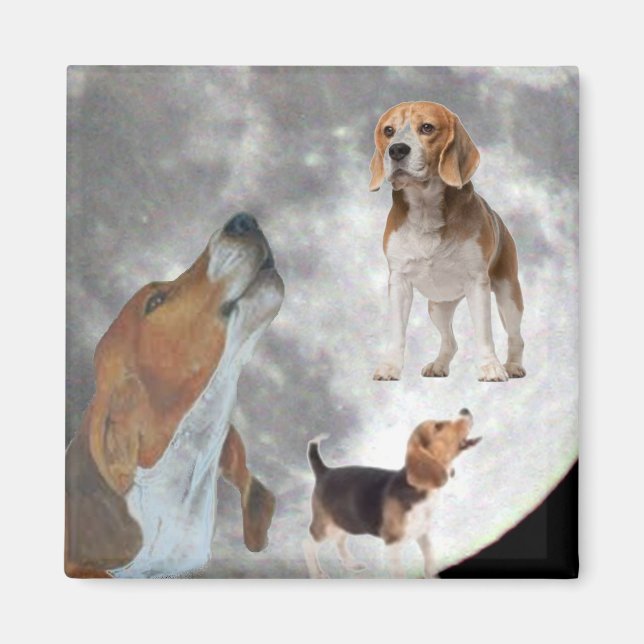 Tre Beagles och Måne Magnet (Framsidan)