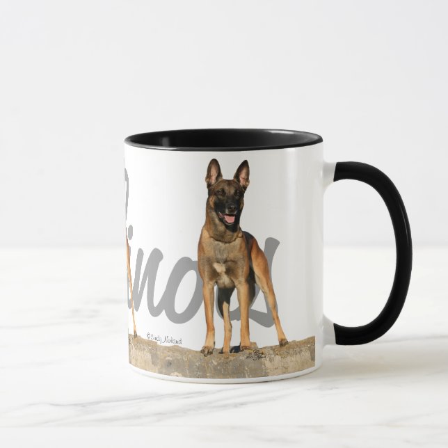 Tre belgare Malinois med avelnamnmuggen Mugg (Höger)