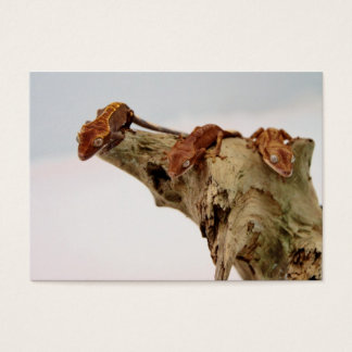 Tre beströvade geckos visitkort