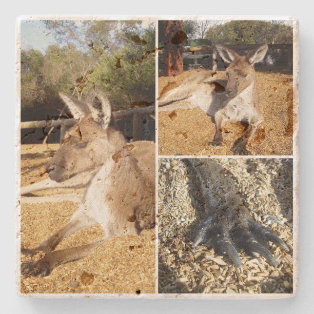 Tre Bild Kangaroo Photo Collage Stenunderlägg (Framsidan)