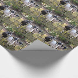 Tre Billy getter Presentpapper