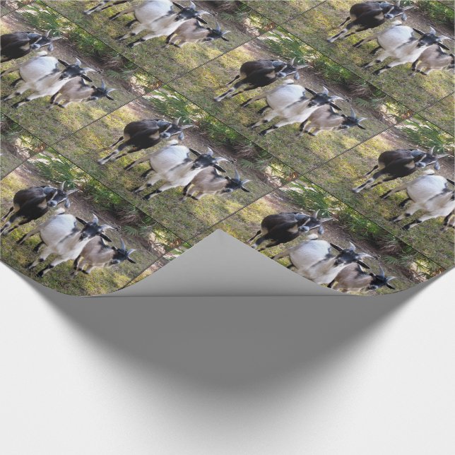 Tre Billy getter Presentpapper (Hörn)