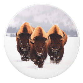 Tre Bison Ceramic Knob Knopp