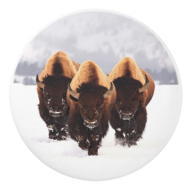 Tre Bison Ceramic Knob Knopp (Framsidan)