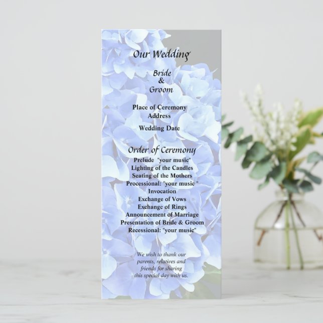 Tre Blå Hortensia Program (Stående Fram)
