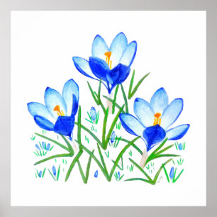 Tre Blå Krokusblommor Tryck