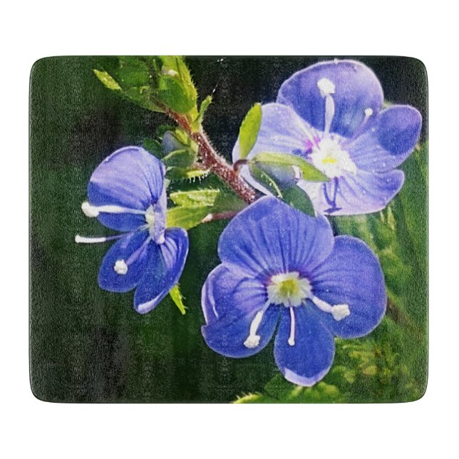 Tre Blåa blommor (Framsidan)