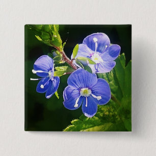Tre Blåa blommor Knapp