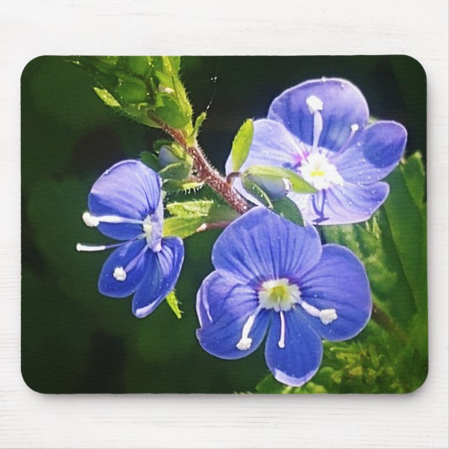 Tre Blåa blommor Musmatta (Framsidan)