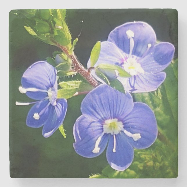 Tre Blåa blommor Stenunderlägg (Framsidan)