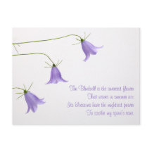 Tre blåklockor foto med en dikt