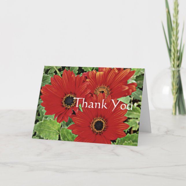 Tre blommor när de blommar i rött. Tack Kort (Framsida)