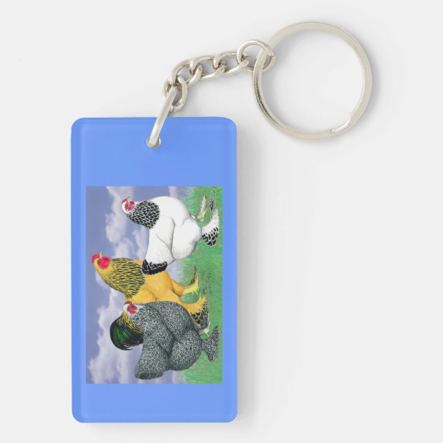 Tre Brahmas (Baksidan)