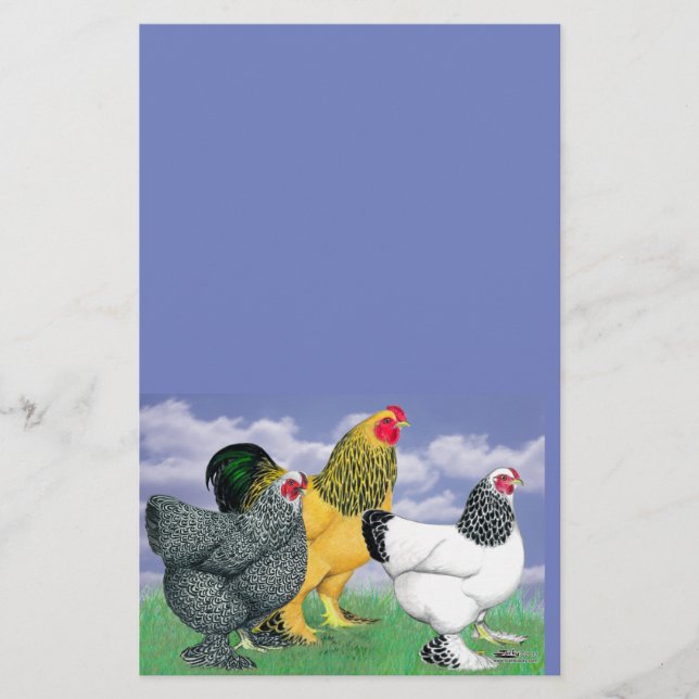 Tre Brahmas Brevpapper (Framsida)