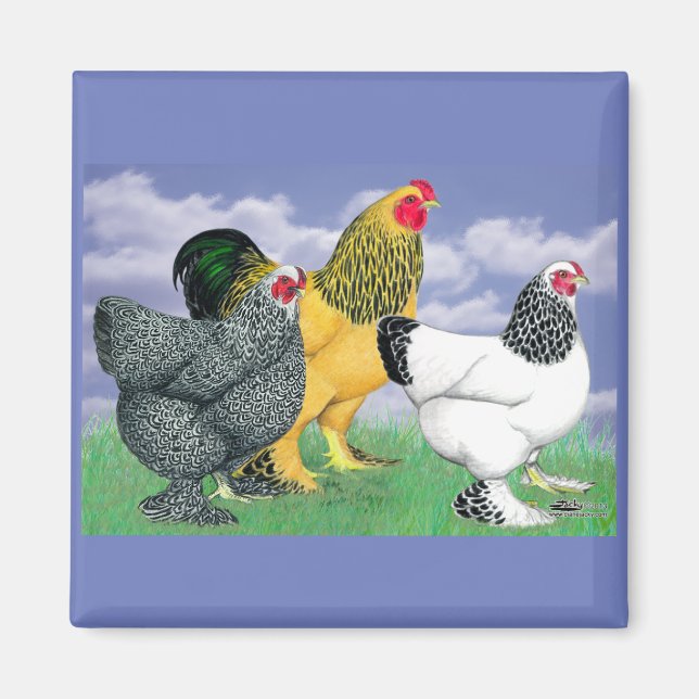 Tre Brahmas Magnet (Framsidan)