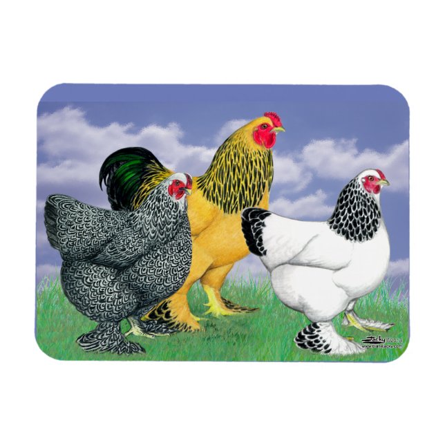 Tre Brahmas Magnet (Horisontell)