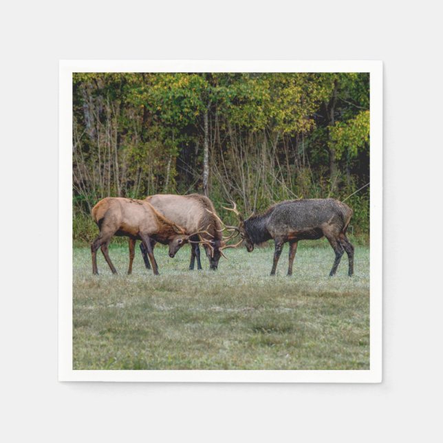 Tre Bull Elk Fight Pappersservett (Framsidan)