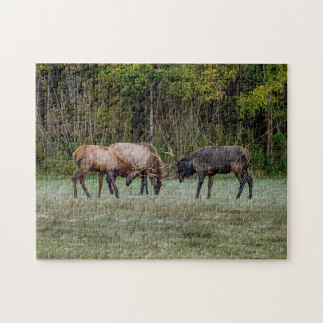 Tre Bull Elk Fight Pussel (Horisontell)