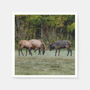 Tre Bull Elk-kampen Pappersservett