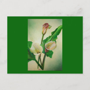 Tre Calla Lilies Stunning Botanical Acrylic Vykort