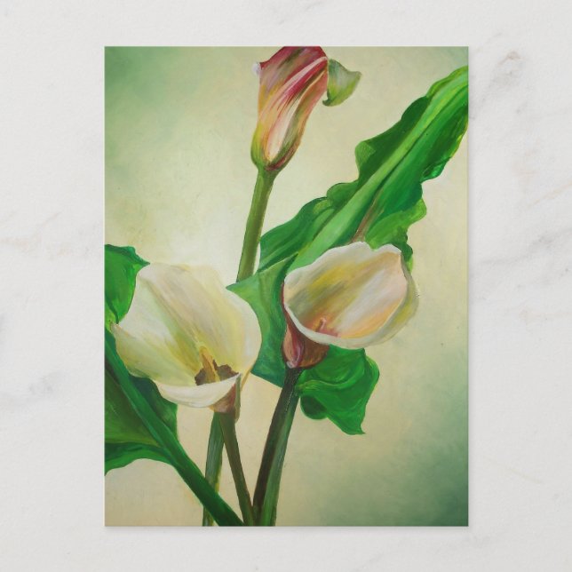 Tre Calla Lilies Stunning Botanical Acrylic Vykort (Framsida)