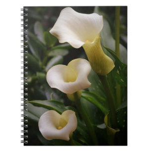 Tre Calla Lily Flowers från Gertie's Garden Anteckningsbok