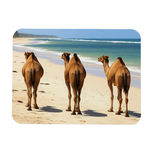 Tre Camels på stranden i Mombasa Kenya Magnet (Horisontell)
