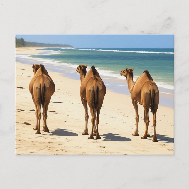 Tre Camels på stranden i Mombasa Kenya Vykort (Framsida)