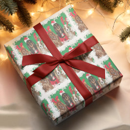 Tre Cavalier Kung Charles Spanska Snöflingor Presentpapper