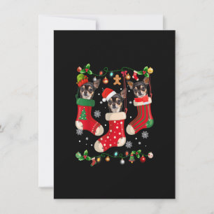 Tre Chihuahua i Sock jultomten X-mas-Hund Inbjudningar