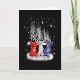 Tre Chihuahua Snö Patriotisk Amerikansk Jul Kort
