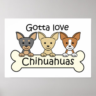 Tre Chihuahuas Poster