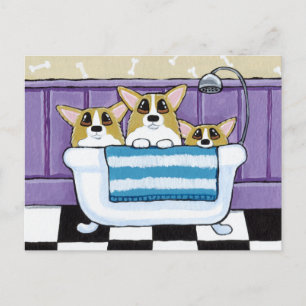 Tre Corgis i Bathtub Vykort