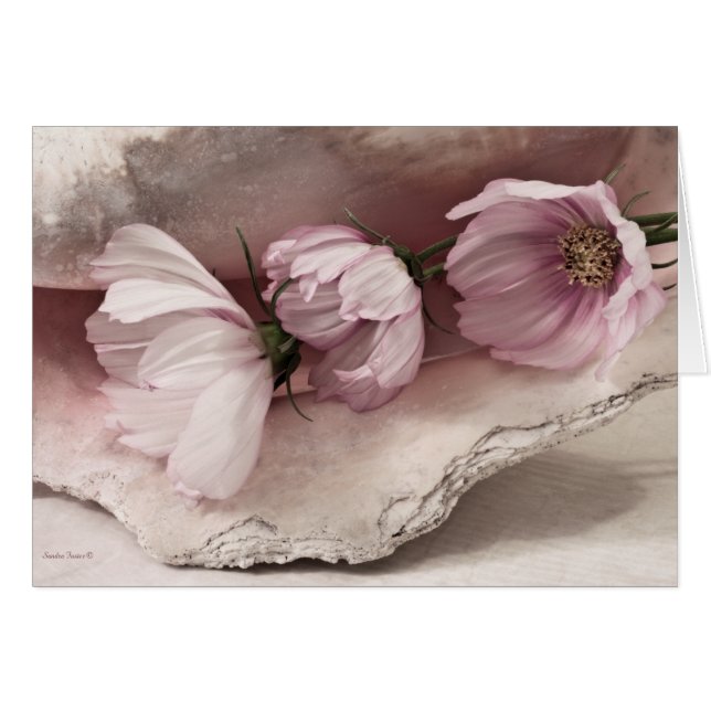 Tre Cosmokort för Rosa Hälsningskort (Framsidan Horizontal)