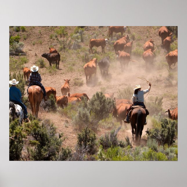 Tre cowboys och cowboys som kör nötkreatur poster (Framsidan)