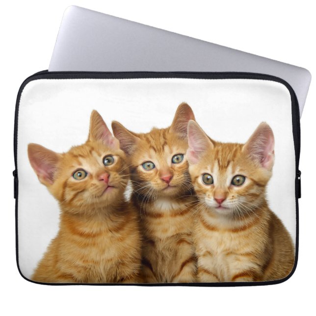 Tre Cute Ginger Cat Kittens Friends Head Photo - Laptop Fodral (Framsidan)