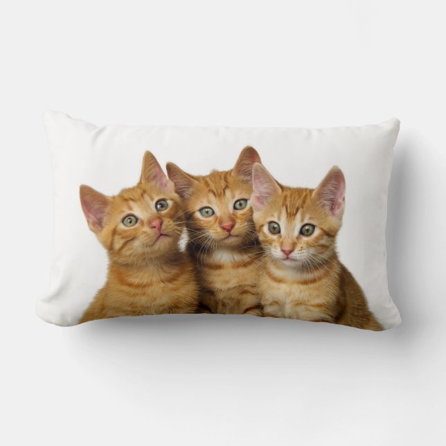 Tre Cute Ginger Cat Kittens Friends Head Photo - Lumbarkudde (Framsida)